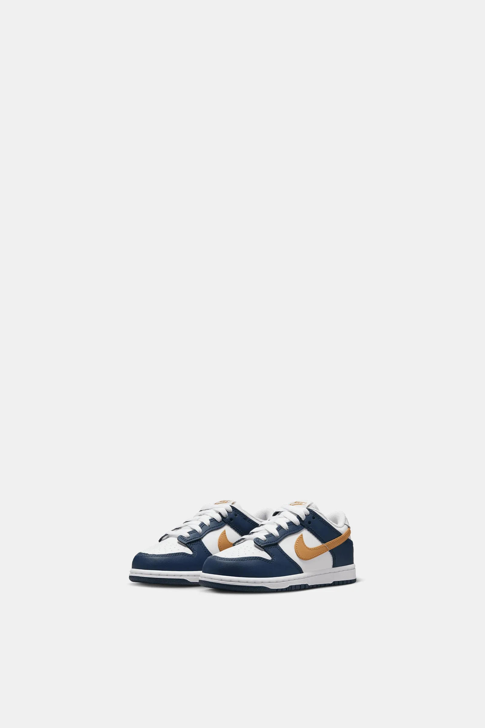 Nike Dunk Low (PSE)