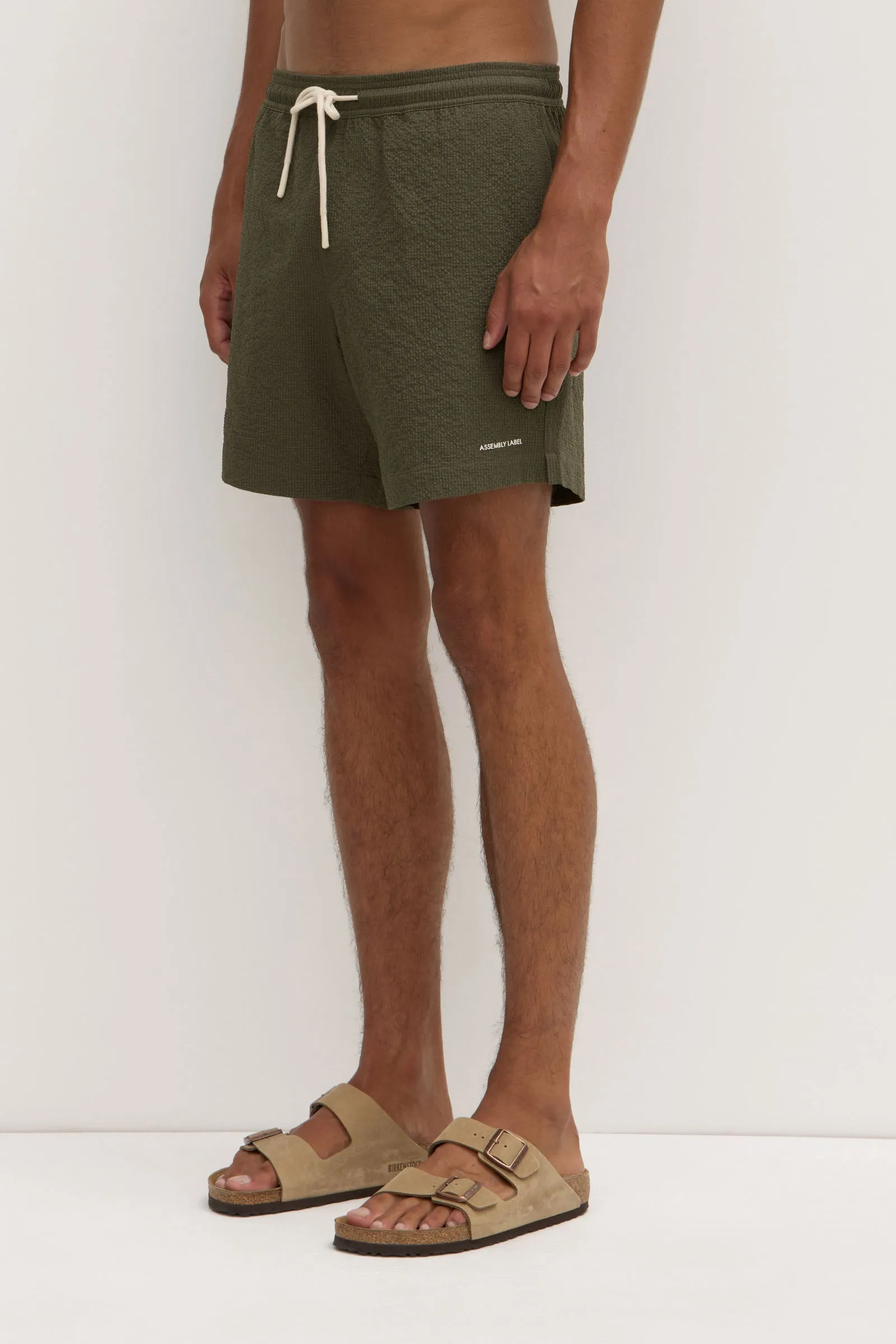 Seth Swim Short